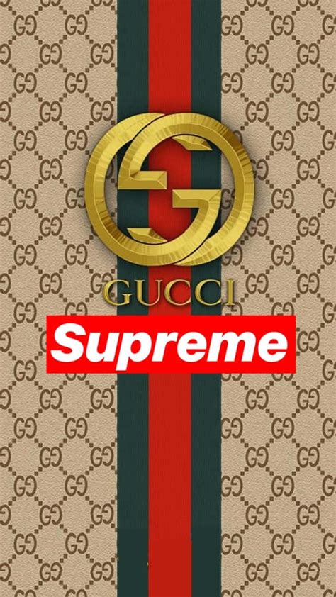 gucci supreme